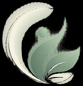 Evolve Care Clinic